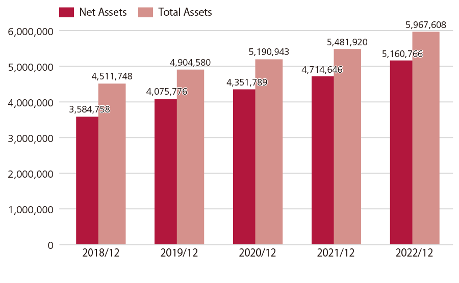 Total Asset & Net Asset Amounts